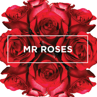 Mr Roses